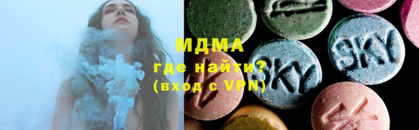 гашик Тайга